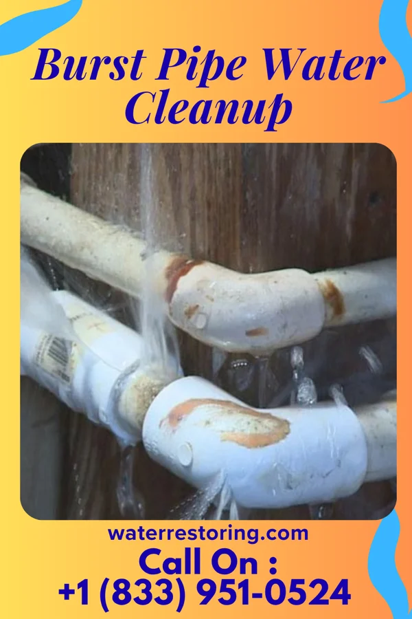 Burst Pipe Water Cleanup in Winona Lake, IN