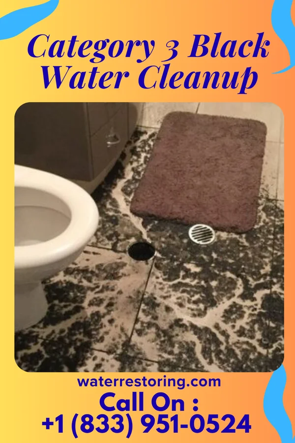 Category 3 Black Water Cleanup in Winona Lake, IN