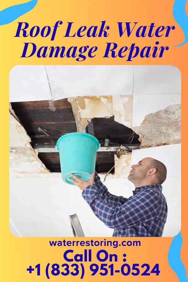 Roof Leak Water Damage Repair in Winona Lake, IN